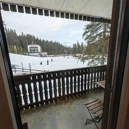 Sara Pokljuka * Bled