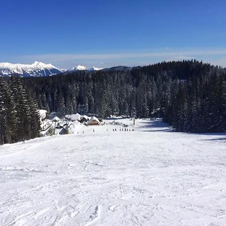 Sara Pokljuka Bled