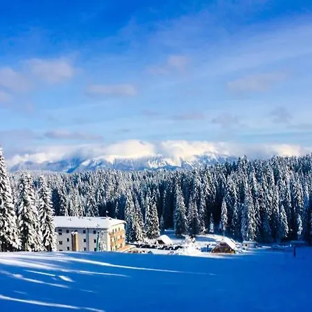 Apartment Sara Pokljuka