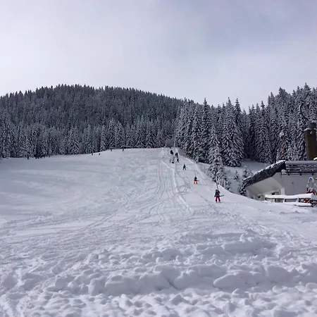 Sara Pokljuka Apartamento Bled