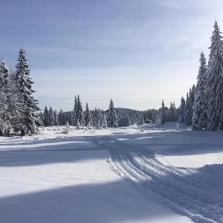 Sara Pokljuka Bled