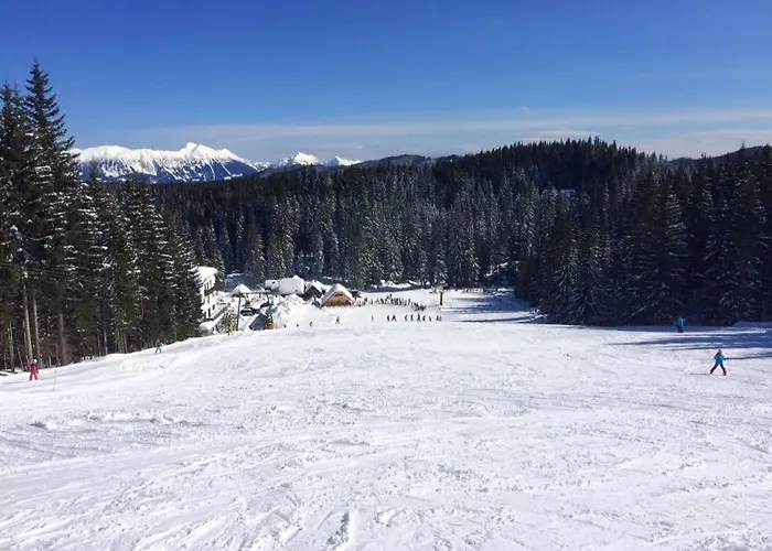 Sara Pokljuka Μπλεντ