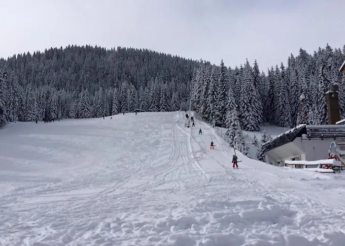 Sara Pokljuka Διαμέρισμα Μπλεντ