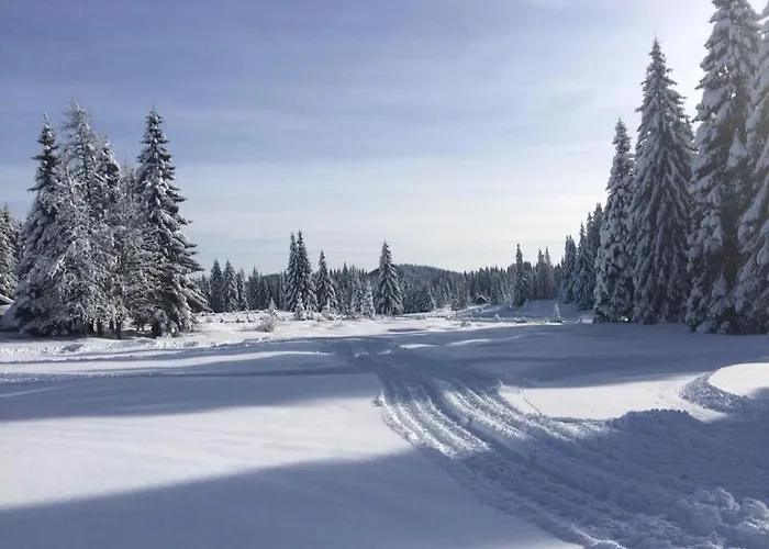 Sara Pokljuka Μπλεντ